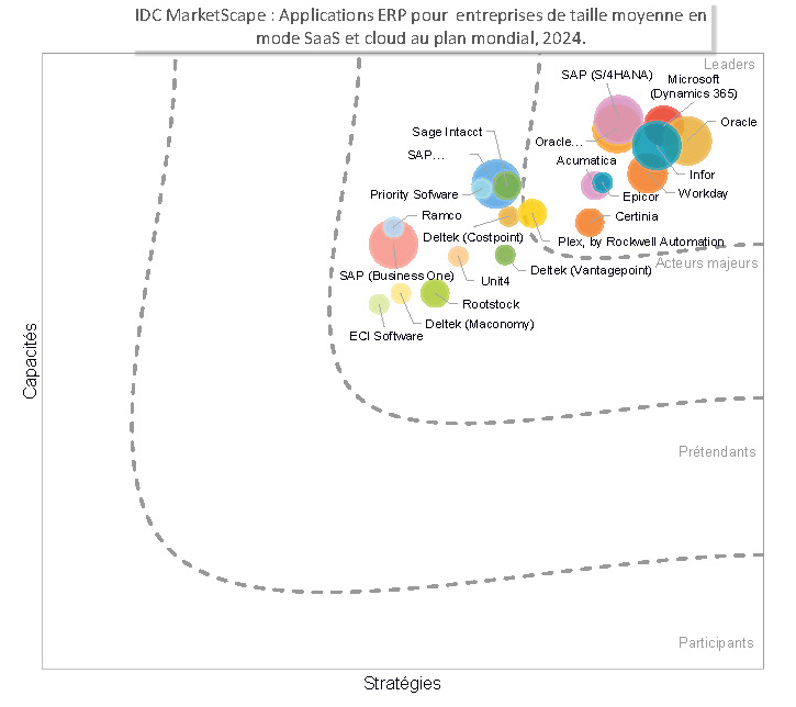 IDC_Marketscape_2024_SAP_Image