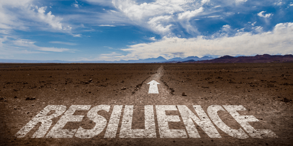 Résilience organisationnelle : prospérer en période d’incertitude