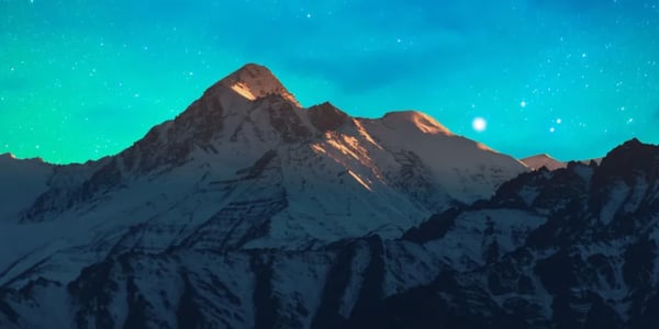 2024 Professional Services Maturity™ Benchmark