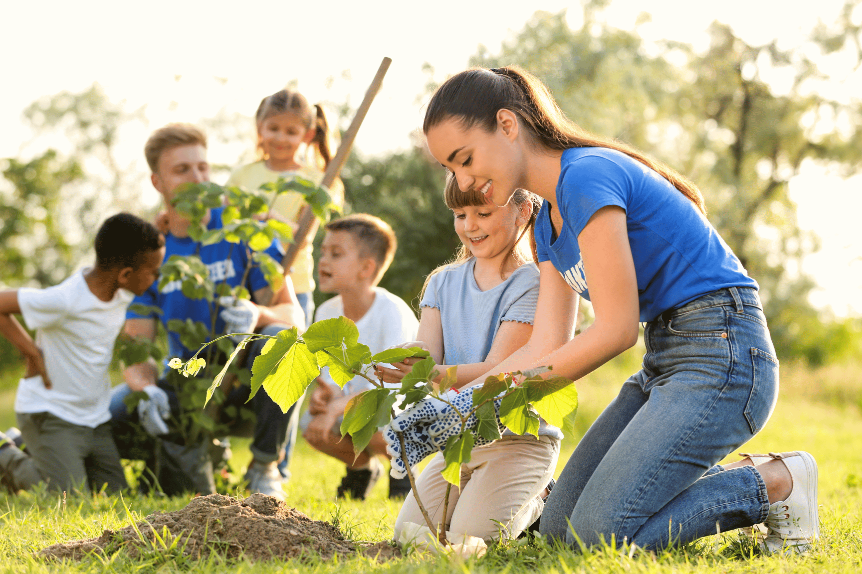 Header_Sage_nonprofit_tree-planting-kids