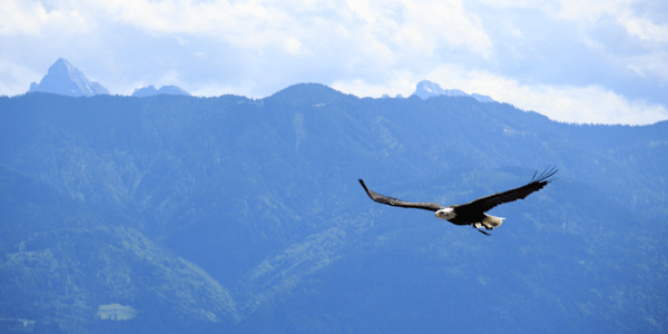 Cloud Accounting Software for First Nations