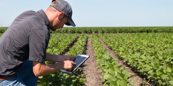 Reduce by 60% the Time Required to Produce Your CanadaGAP Reports